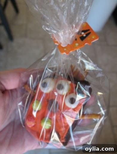 Cellophane bags filled with monster brownies, tied with bread tag monsters