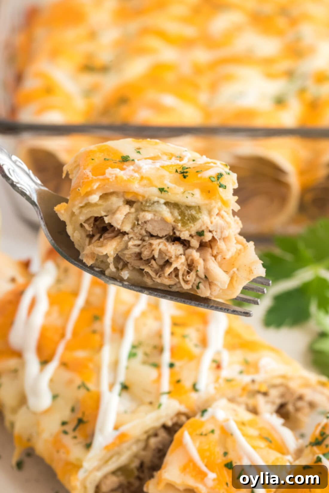 A delicious piece of Shredded Chicken and Green Chile Enchilada on a fork, ready to eat