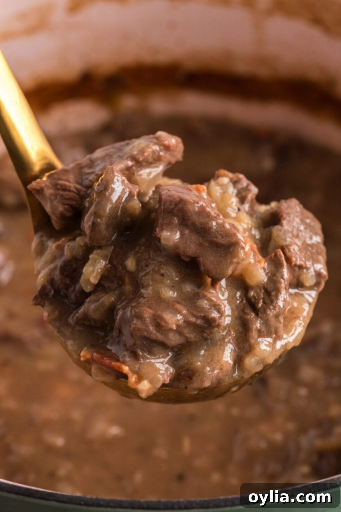 Ladle of Beef Carbonnade being lifted out of a pot
