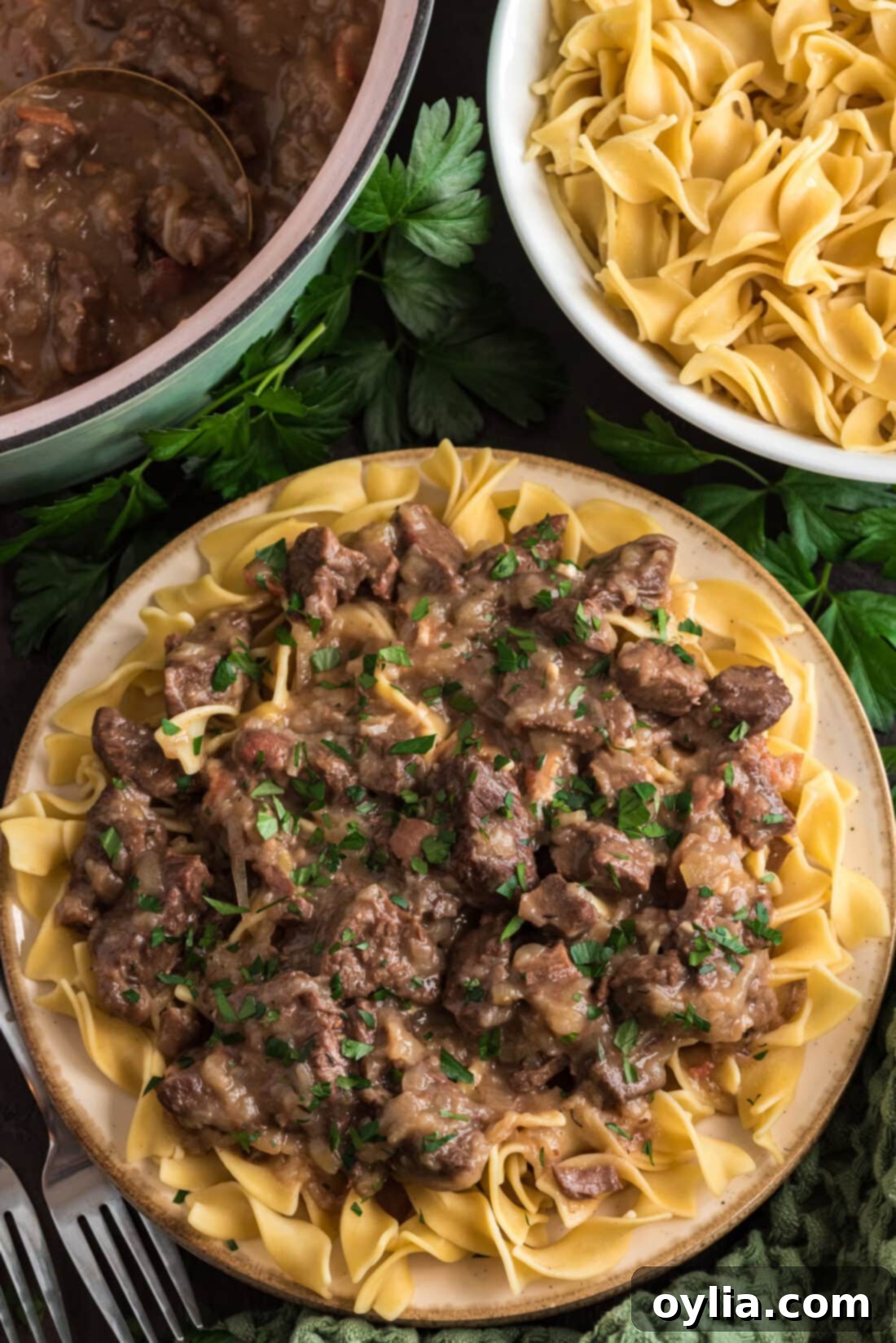 Beef Carbonnade served over noodles