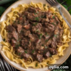 Close up photo of Beef Carbonnade served over egg noodles