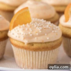 Sunshine Orange Creamsicle Cupcakes 16 Close up photo of a Orange Creamsicle Cupcake, showcasing its detailed frosting and soft texture.