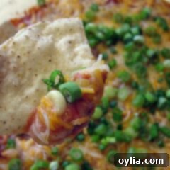 Kickin' Fiesta Dip 2 Hot Fiesta Dip