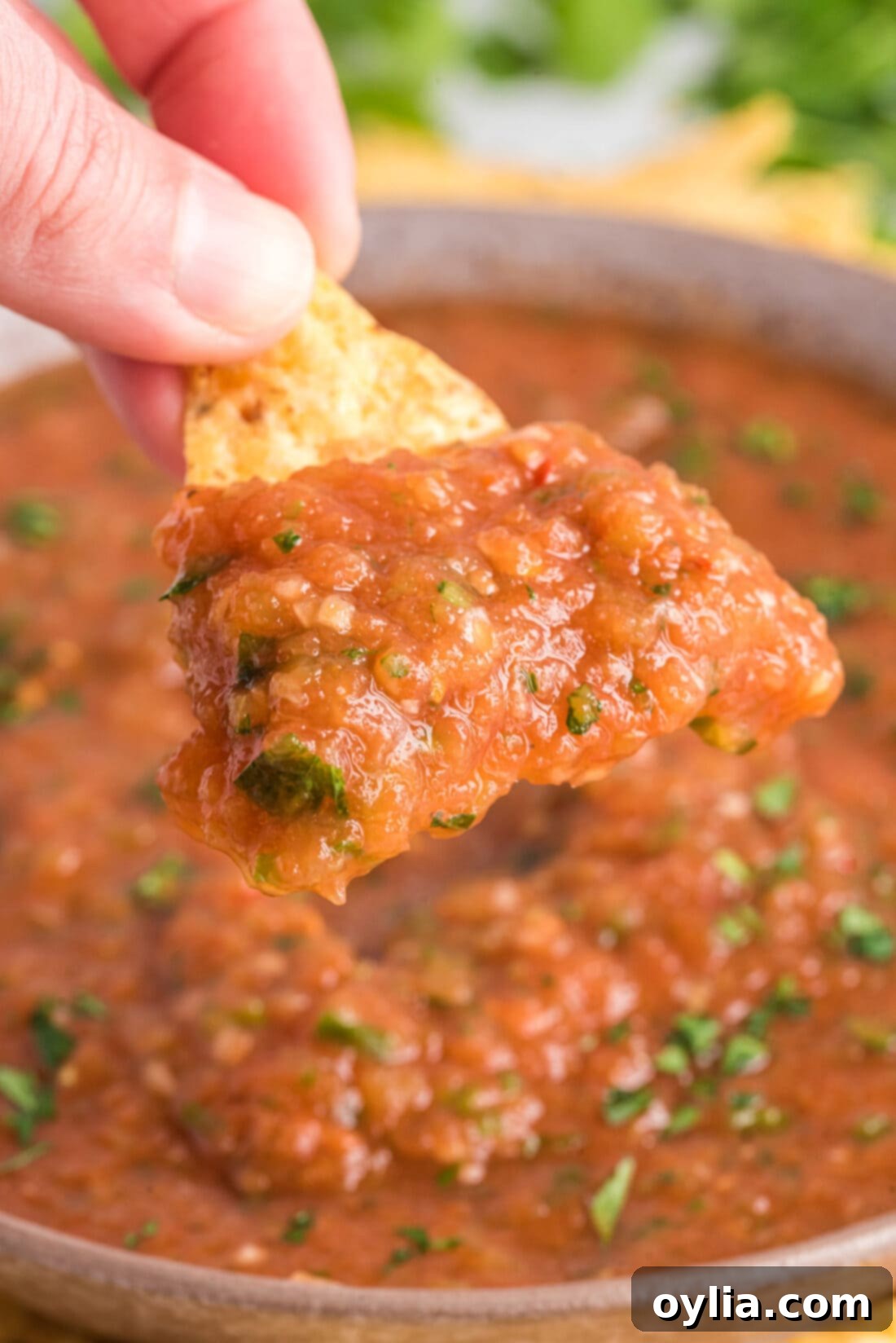 Dipping a tortilla chip into freshly made Restaurant Style Salsa, showcasing its smooth yet chunky texture and vibrant red color.