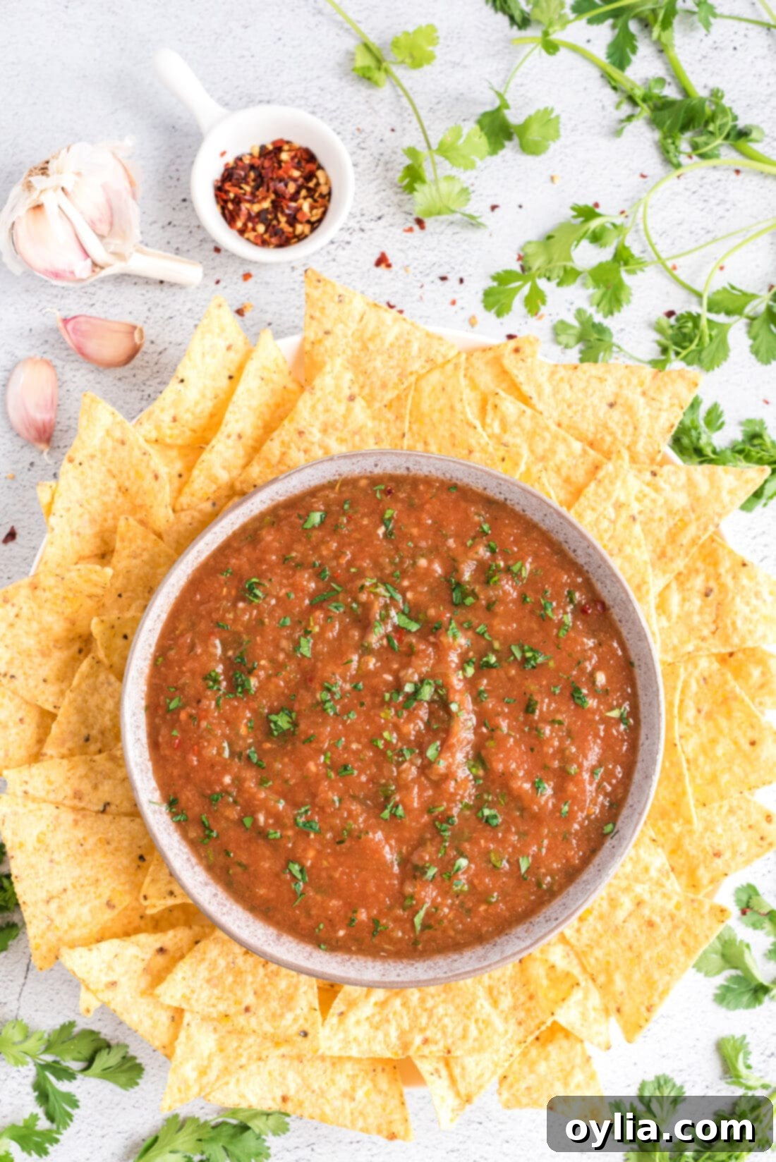 A bowl of freshly made Restaurant Style Salsa surrounded by crispy tortilla chips, ready for dipping.