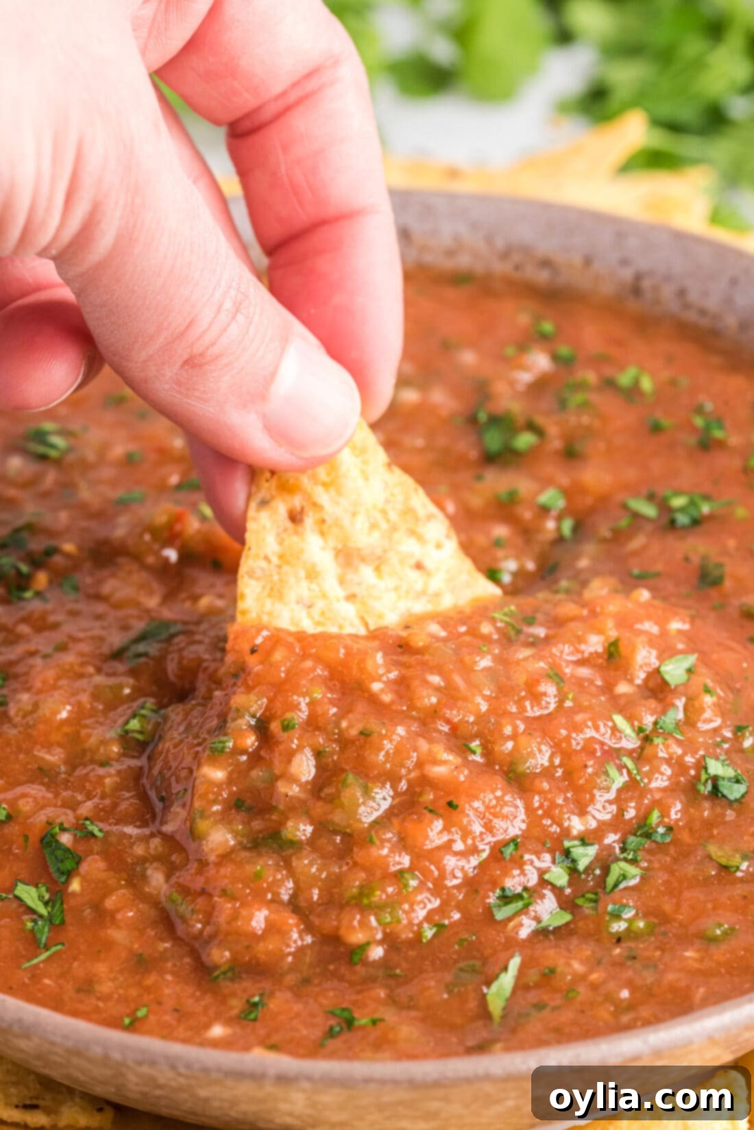 A tortilla chip generously dipped into Restaurant Style Salsa, showcasing its appealing texture.