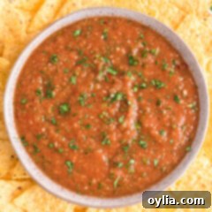 A bowl of vibrant Restaurant Style Salsa, perfect for dipping.