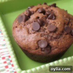 A close up photo of a chocolate chocolate chip muffin in a green dish.