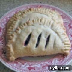Homemade Cherry Hand Pies 2 A close up photo of two cherry hand pies resting on a red and white plate.