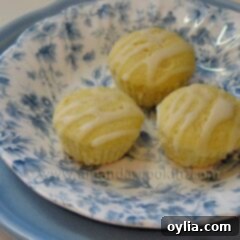 Zesty German Mini Lemon Cakes 2 A close up photo of three German mini lemon cakes in a blue and white dish.