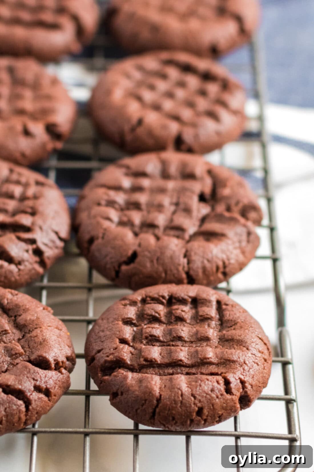 Close up photo of Chocolate Peanut Butter Cookies on a wire rack
