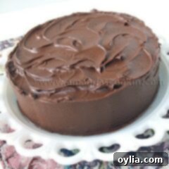 Nigella's Timeless Chocolate Indulgence 2 A Nigella's old fashioned chocolate cake resting on a white cake stand.