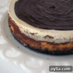 A close up photo of a chocolate chip ricotta cheesecake.