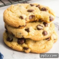 stack of chocolate chip cookies