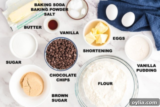 Labeled ingredients for making Chocolate Chip Pudding Cookies, including butter, shortening, sugars, pudding mix, and chocolate chips.