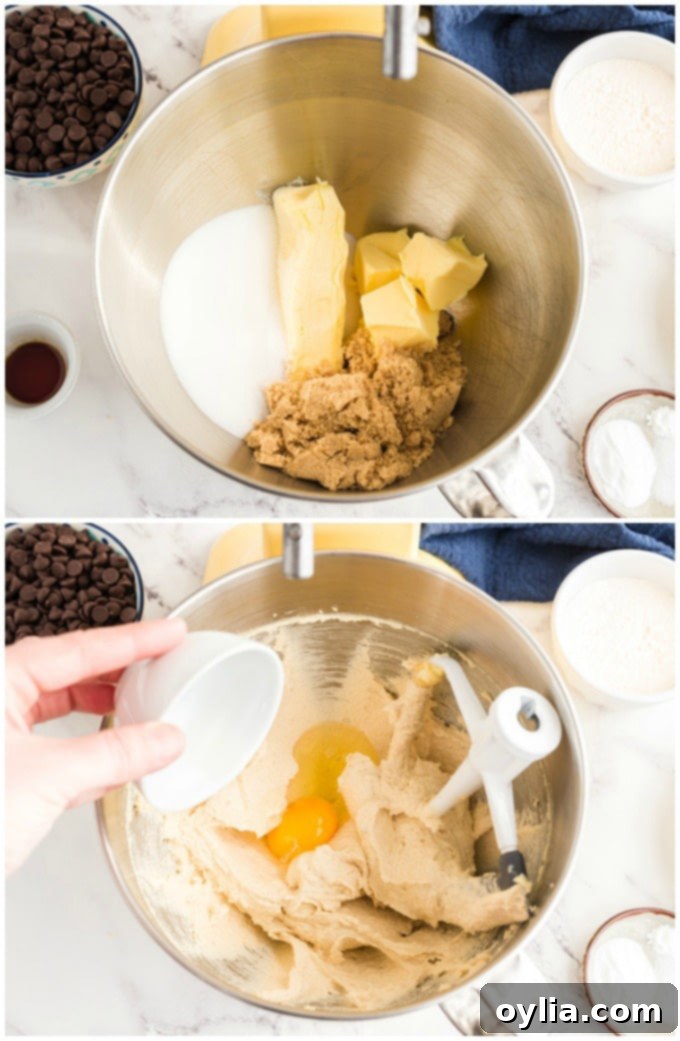 Mixing cookie dough in a stand mixer, showing the creamy texture of the wet ingredients.