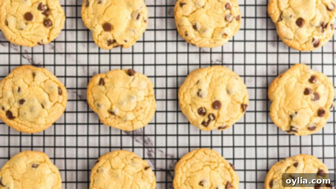 A cooling rack filled with freshly baked Chocolate Chip Pudding Cookies, perfectly golden brown and ready to cool.