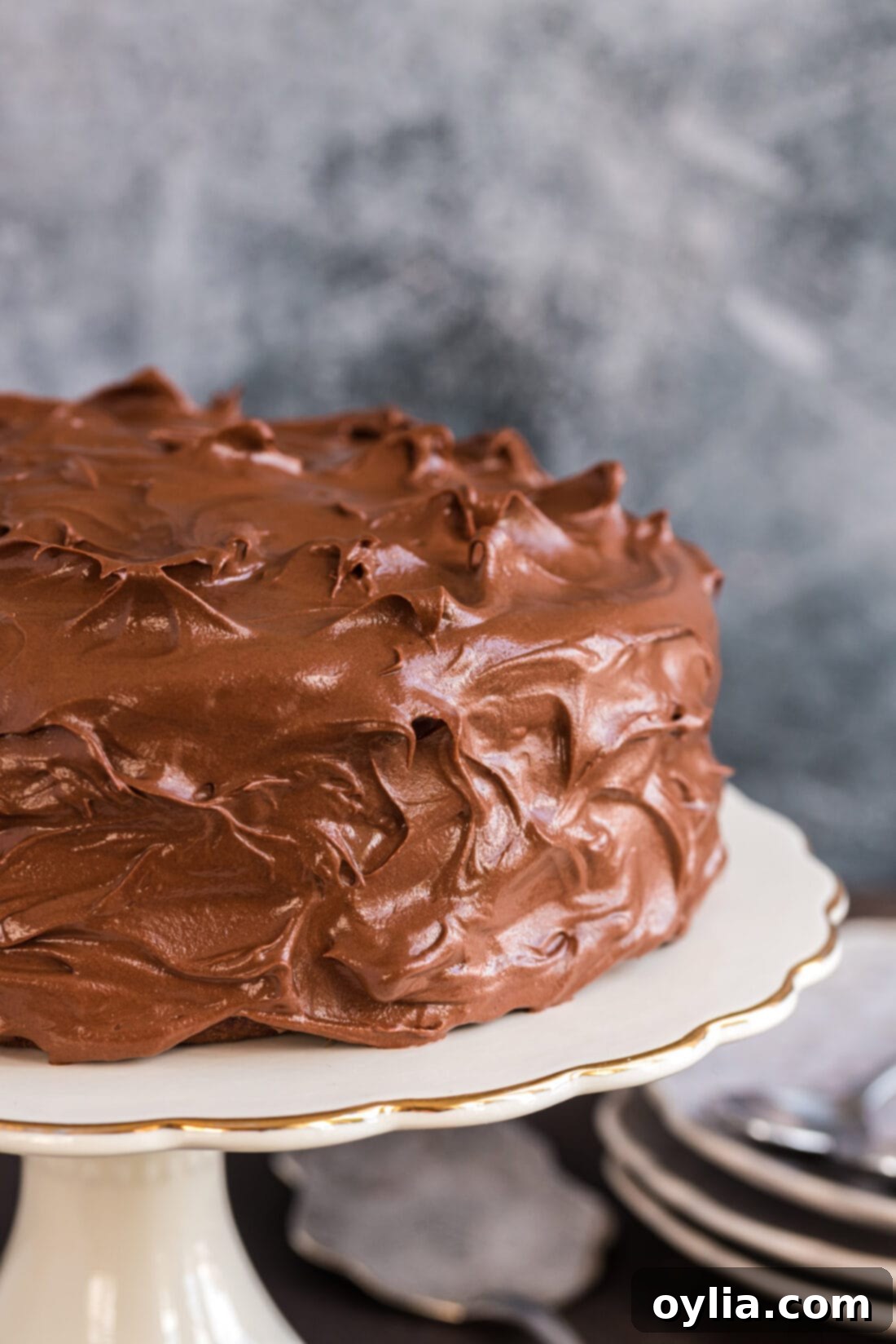 Nigellas Decadent Chocolate Fudge Cake 26 The impressive two-tiered Nigella's Chocolate Fudge Cake proudly displayed on an elegant cake stand, fully frosted with smooth, dark fudge icing.