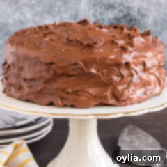 Nigellas Decadent Chocolate Fudge Cake 27 Close up photo of Nigella's Chocolate Fudge Cake on a cake stand, showcasing its moist texture and rich, smooth frosting.