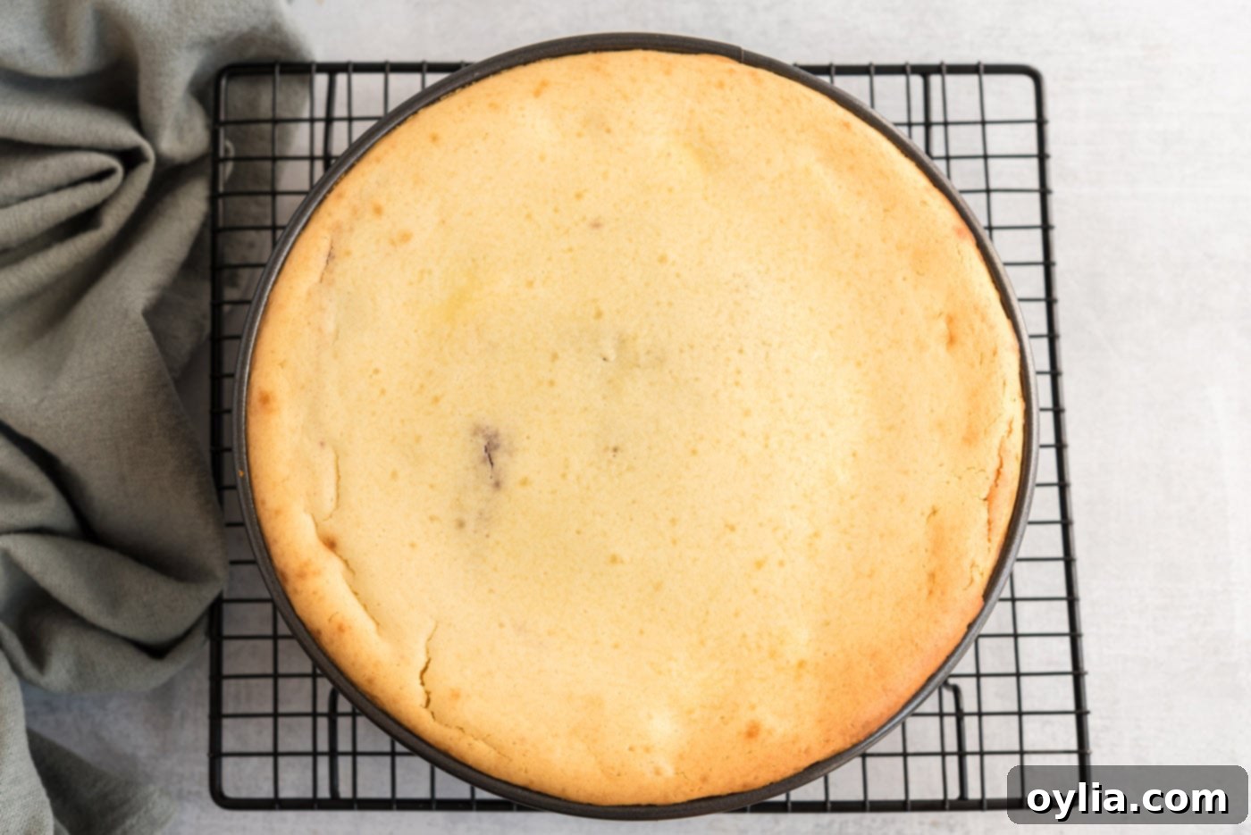 A freshly baked English trifle cheesecake in a springform pan, showing a slightly browned top, cooling on a wire rack.