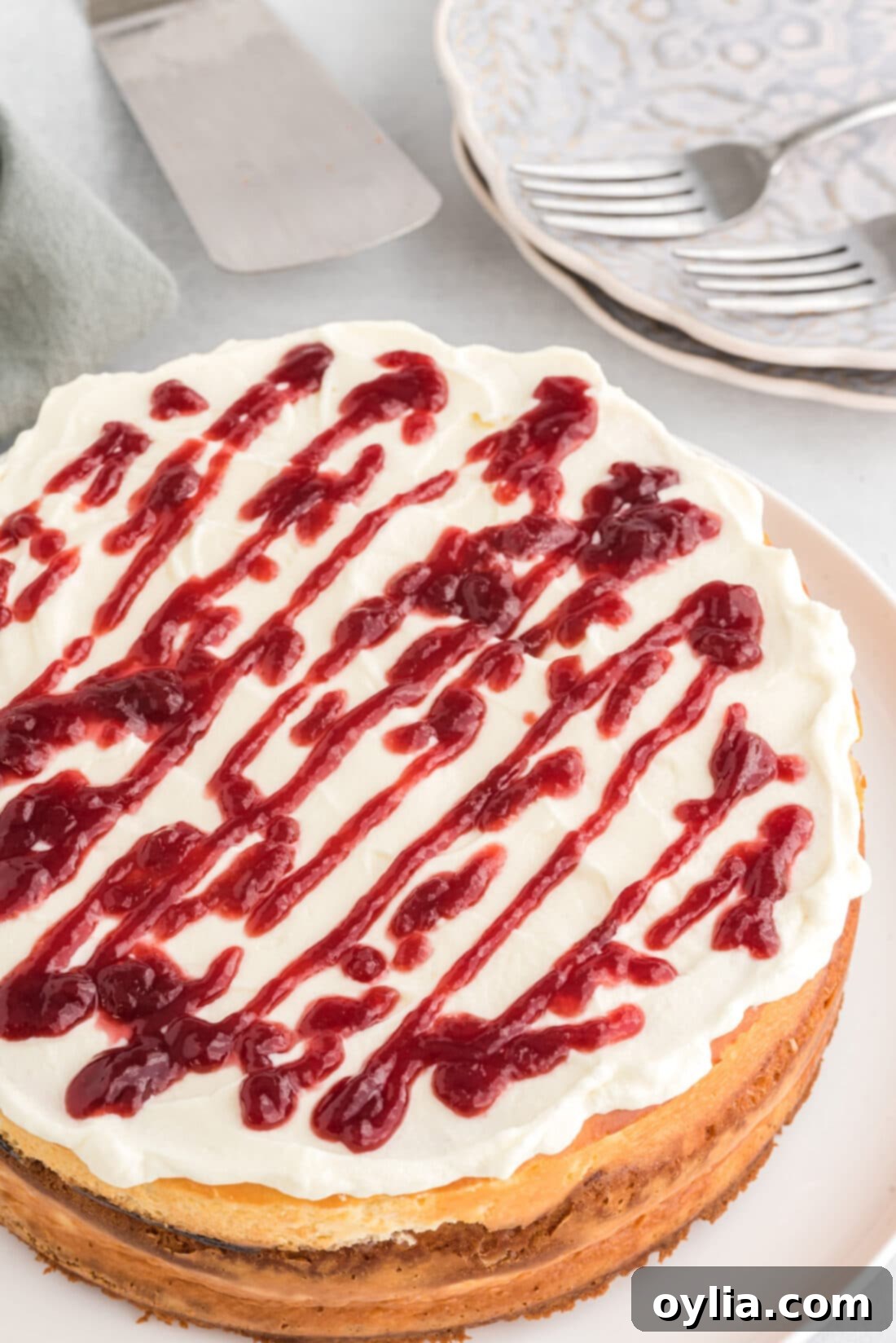 Overhead view of a beautifully decorated English Trifle Cheesecake with whipped cream and raspberry drizzle, ready to be served.