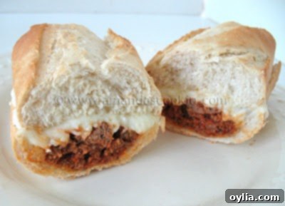 Iowa State Fair Grinder Delight 2 A delicious homemade Grinder sandwich, reminiscent of Iowa State Fair food.