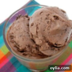 A close up photo of double chocolate chip ice cream in a clear dish.