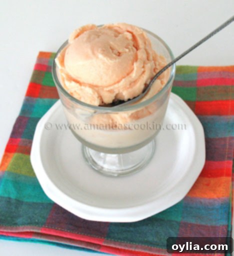 Delicious scoop of homemade Sunkist orange ice cream