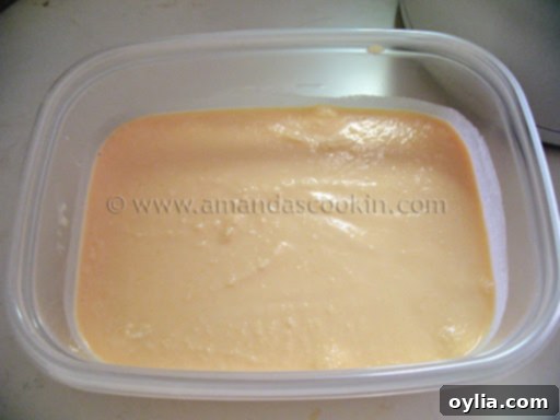 A freezer container filled with freshly churned Sunkist orange ice cream, ready to freeze