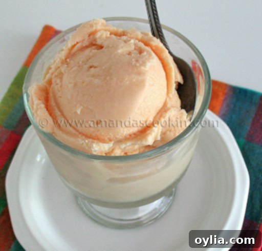 Close-up of creamy homemade Sunkist orange ice cream in a clear glass bowl