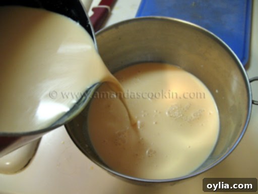 Mixture for homemade Sunkist orange ice cream being poured into a stainless steel bowl for chilling
