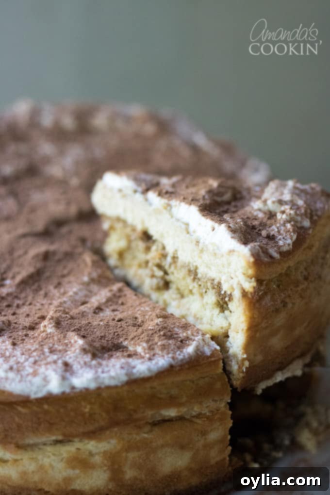 TIRAMISU CHEESECAKE