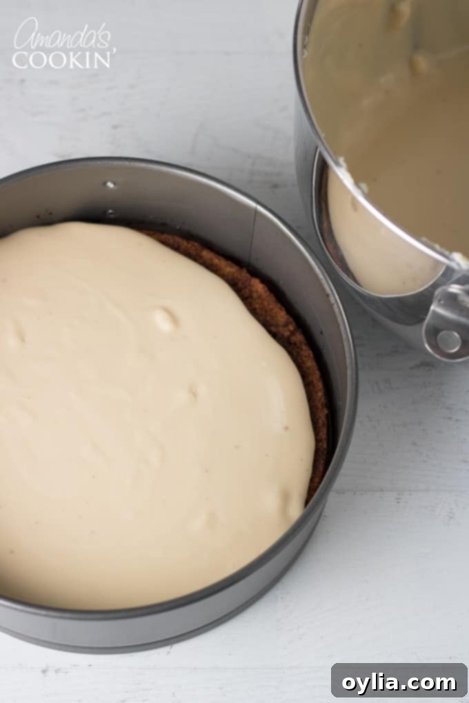 How to make tiramisu cheesecake: layer mixture over cake