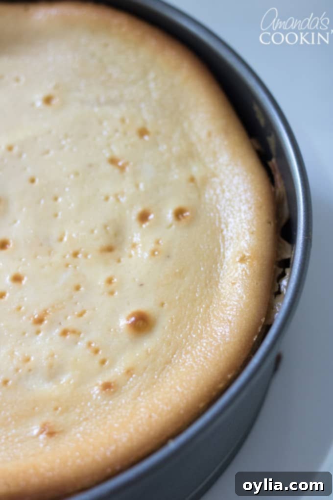 How to make tiramisu cheesecake: step 11