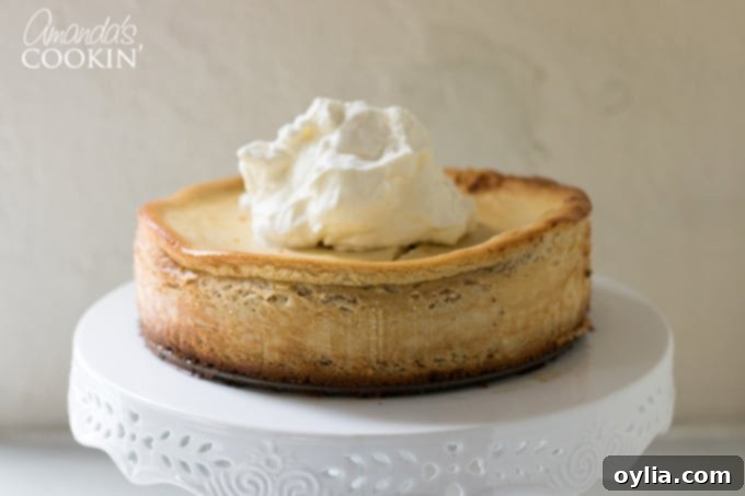 How to make tiramisu cheesecake: step 13