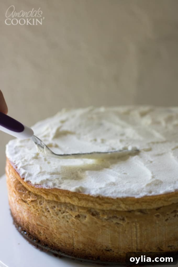 How to make tiramisu cheesecake: step 14