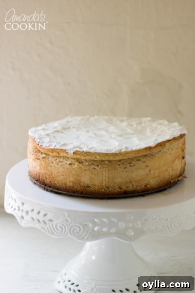 How to make tiramisu cheesecake: step 15