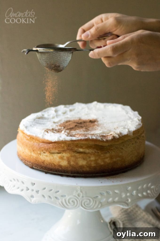 How to make tiramisu cheesecake: dust cocoa over the top