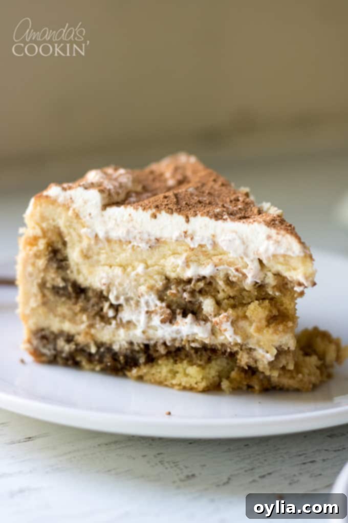 Tiramisu Cheesecake Slice on a plate