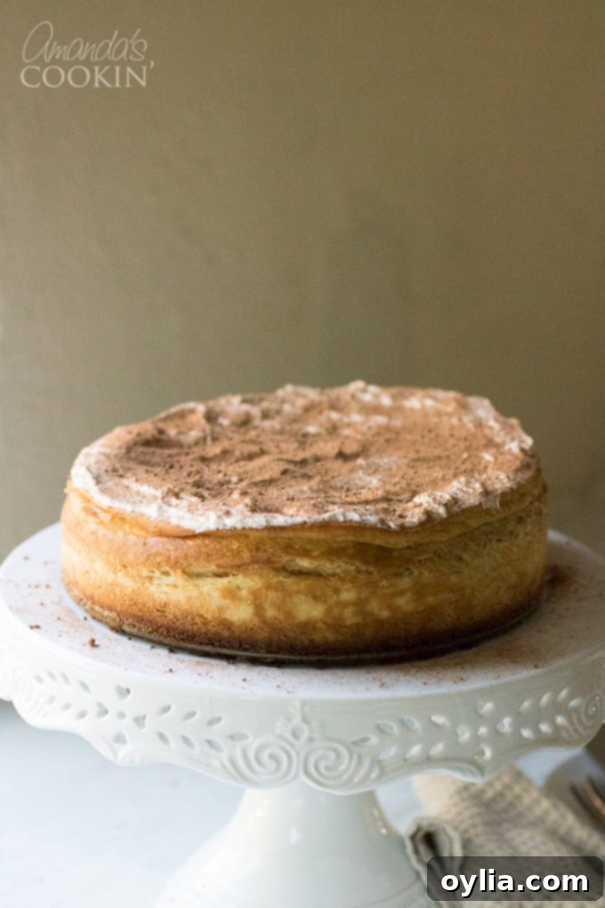 How to make tiramisu cheesecake: step 17