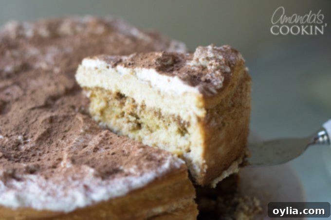 Tiramisu Cheesecake Slice