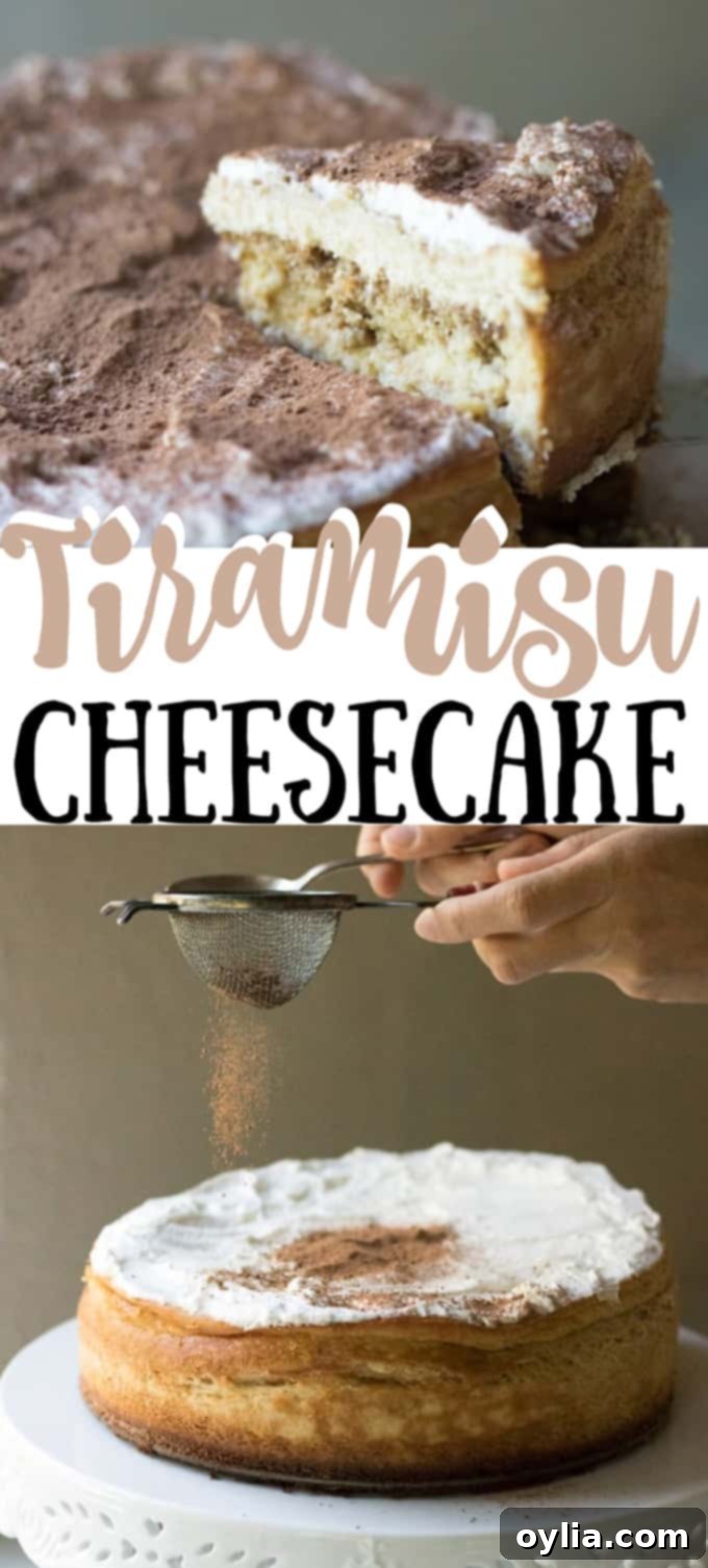 tiramisu cheesecake
