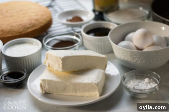 Ingredients for tiramisu cheesecake