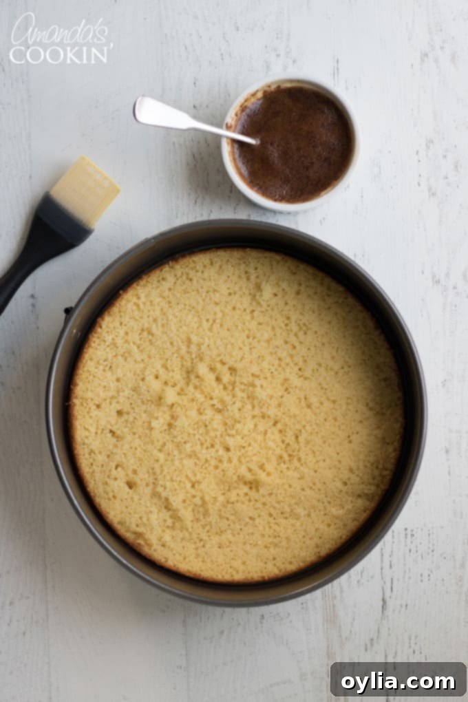 How to make tiramisu cheesecake: bale the cake