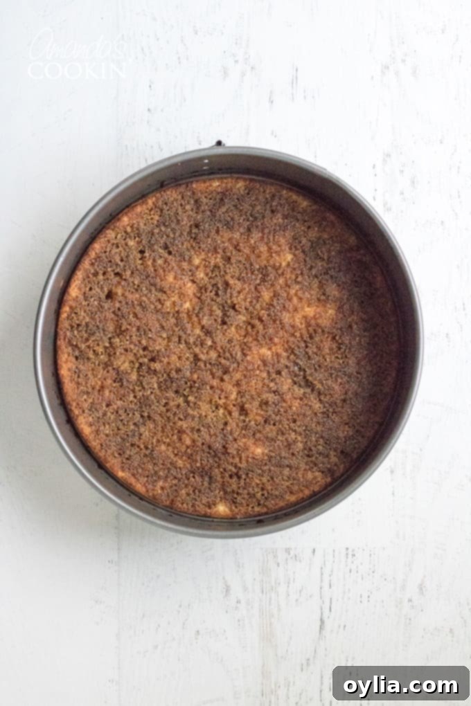 How to make tiramisu cheesecake: step 3