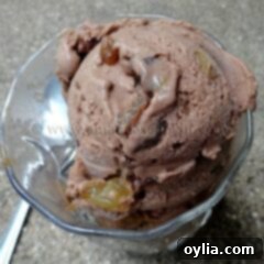 A close up photo of chocolate rum raisin ice cream in a clear dish.