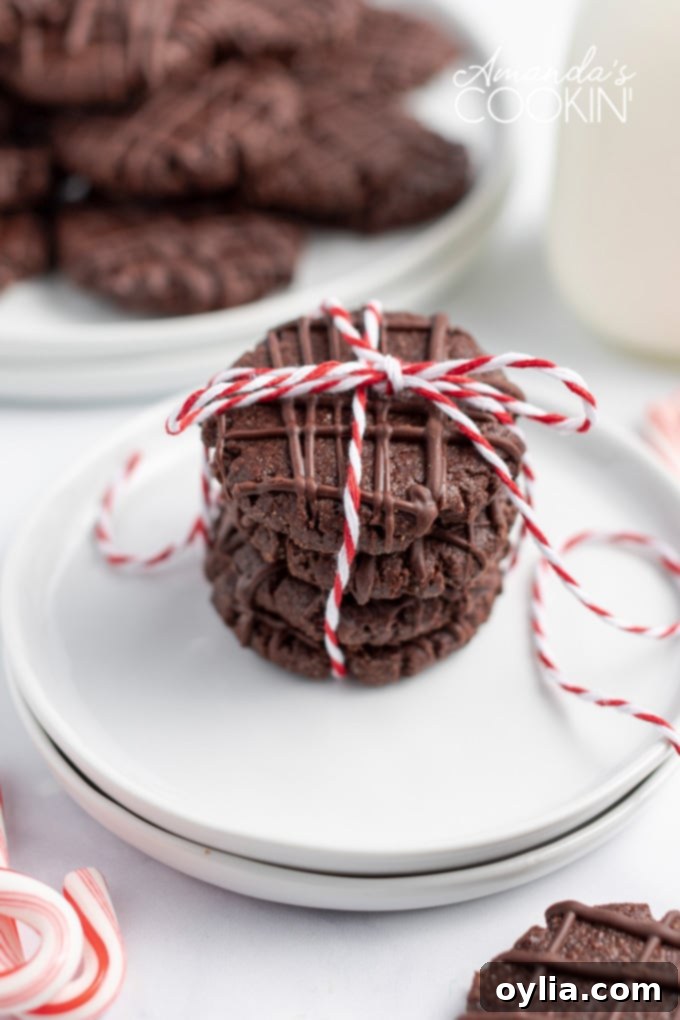 stack of chocolate mint cookies tied with twine