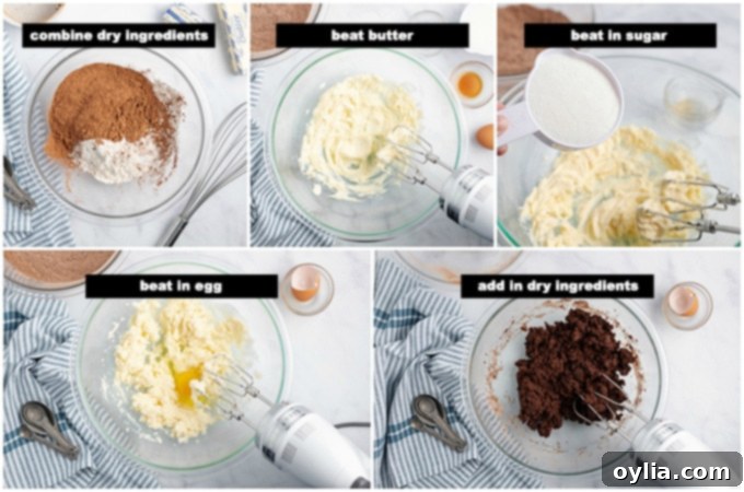 steps for making cookie dough for chocolate mint cookies