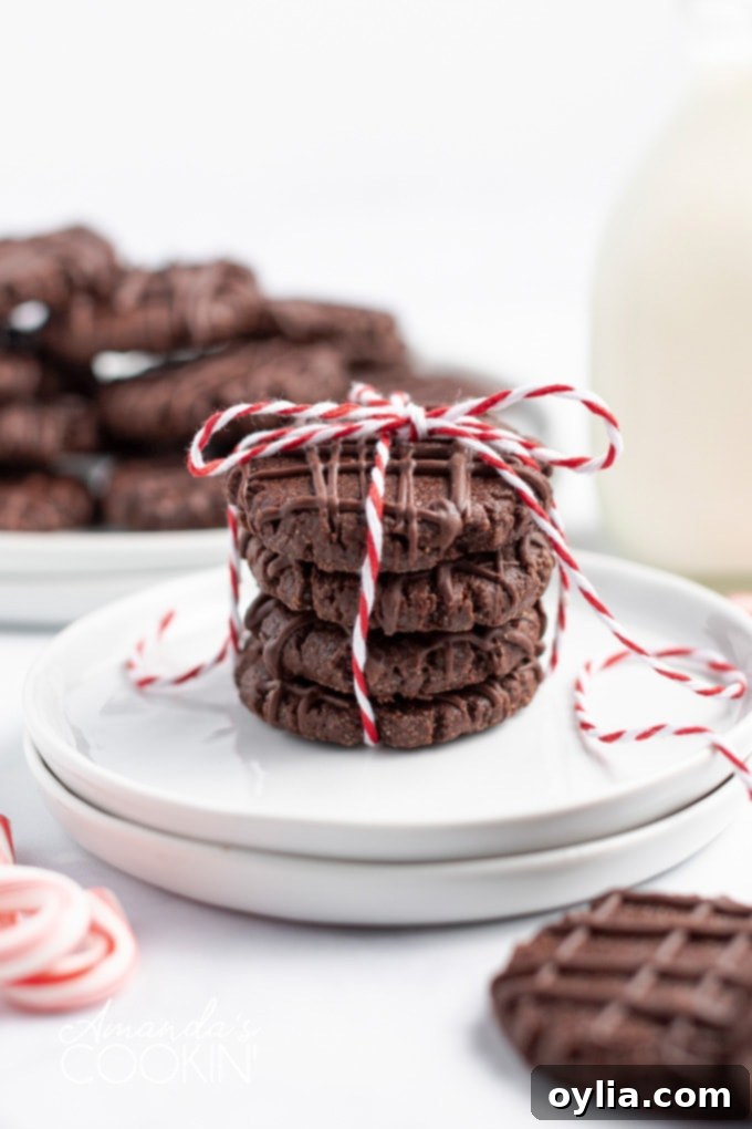 chocolate mint cookies wrapped with bakers twine