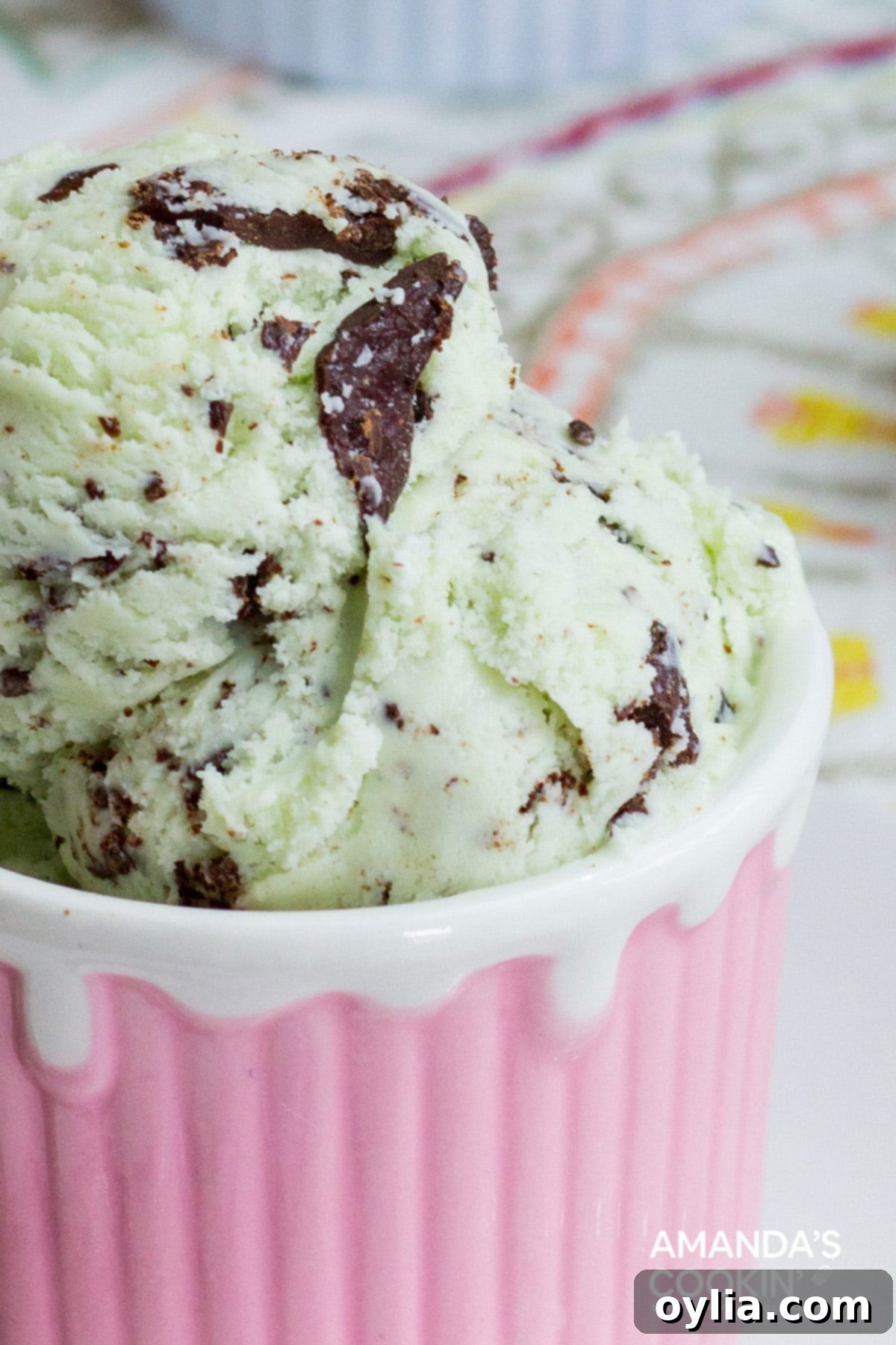 MINT CHOCOLATE CHIP ICE CREAM IN PINK DISH
